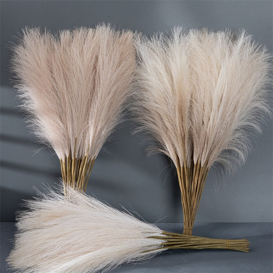 Pluizige Pampas Gras